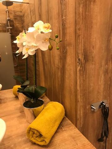 Apartament Gosia Nysa Kültér fotó