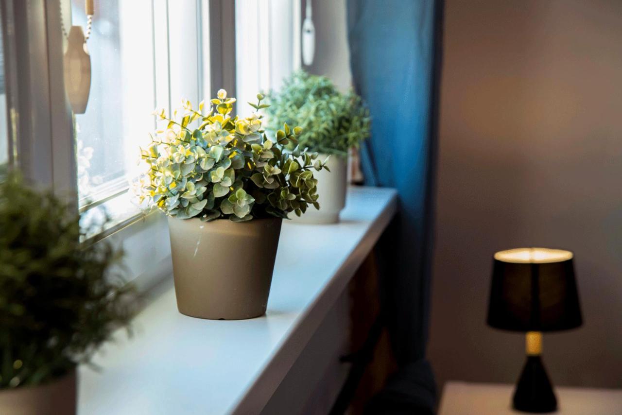 Apartament Gosia Nysa Kültér fotó